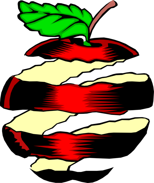 Vector Illustration of Perfectly Sliced Fruit Apple Peel