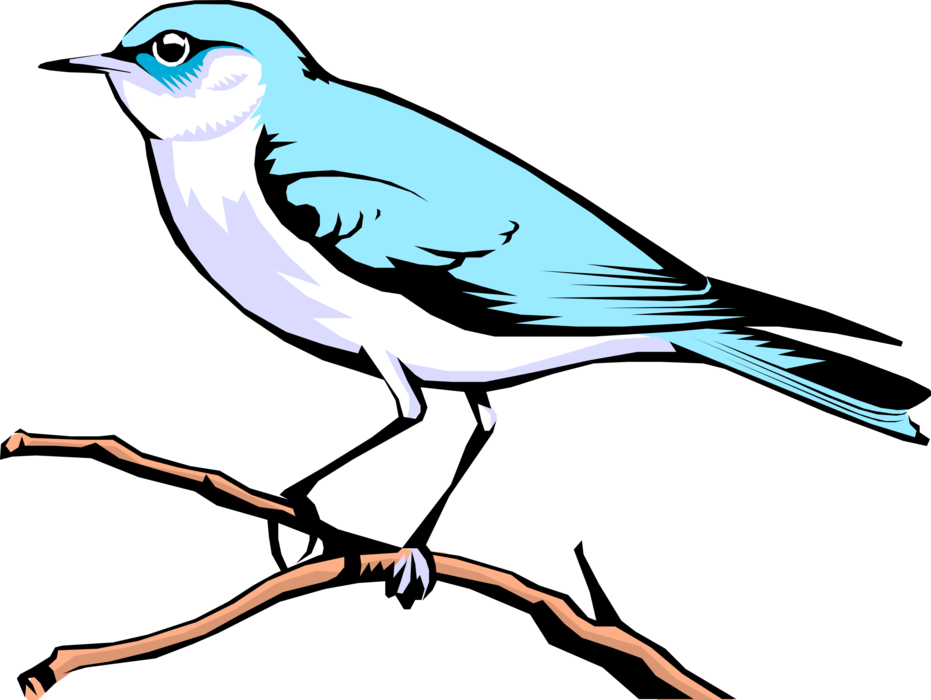 Vector Illustration of Feathered Vertebrate Mountain Blue Bird