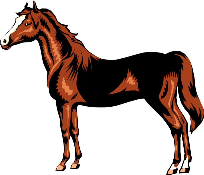 Vector Illustration of Quadruped Equine Equestrian Horse