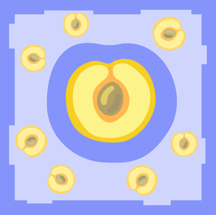 Vector Illustration of Edible Fruit Peach or Nectarine