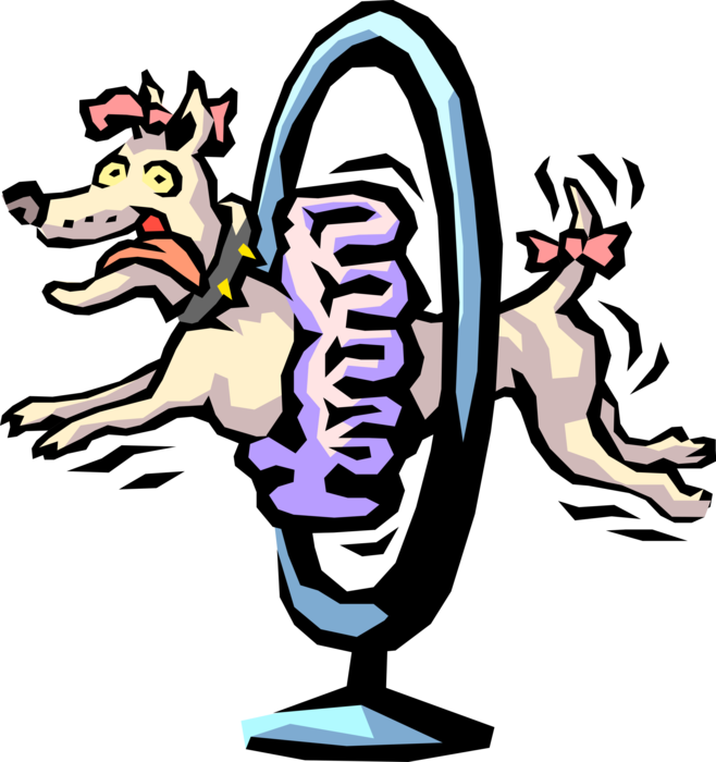 Vector Illustration of Show Dog Jumping Through Hoop