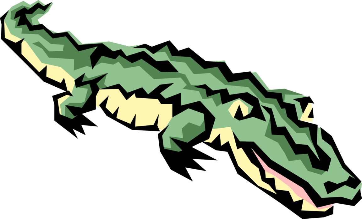 Vector Illustration of Alligator Tropical Aquatic Reptile Walking