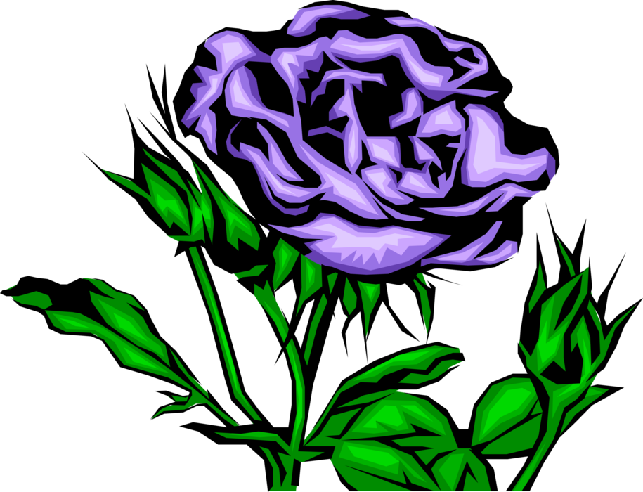 Vector Illustration of Purple Rose Flower