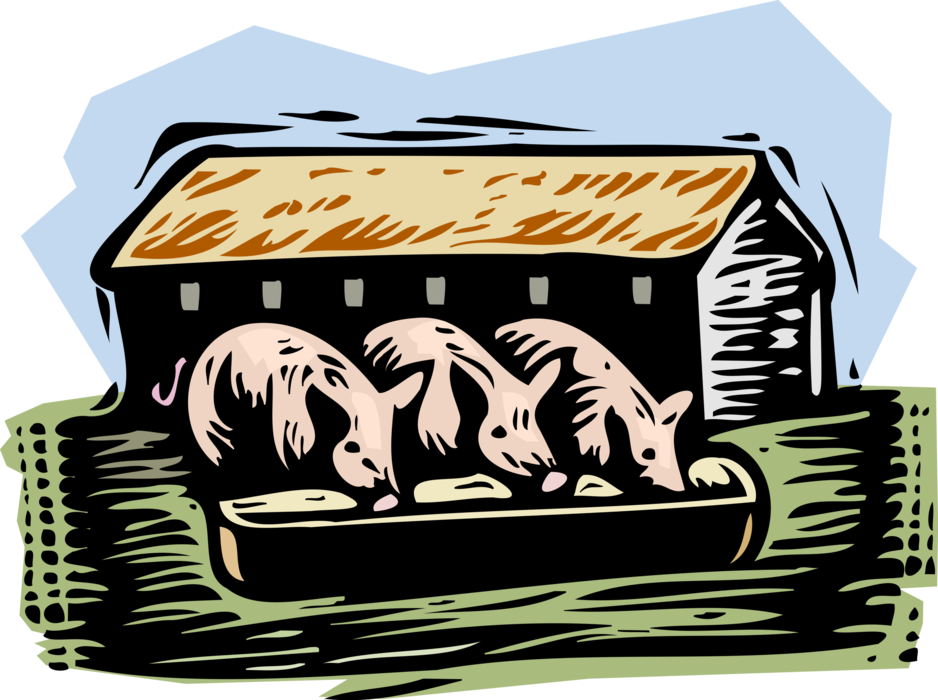 Vector Illustration of Farm Agriculture Livestock Animal Pigs Feeding at Trough in Pigsty