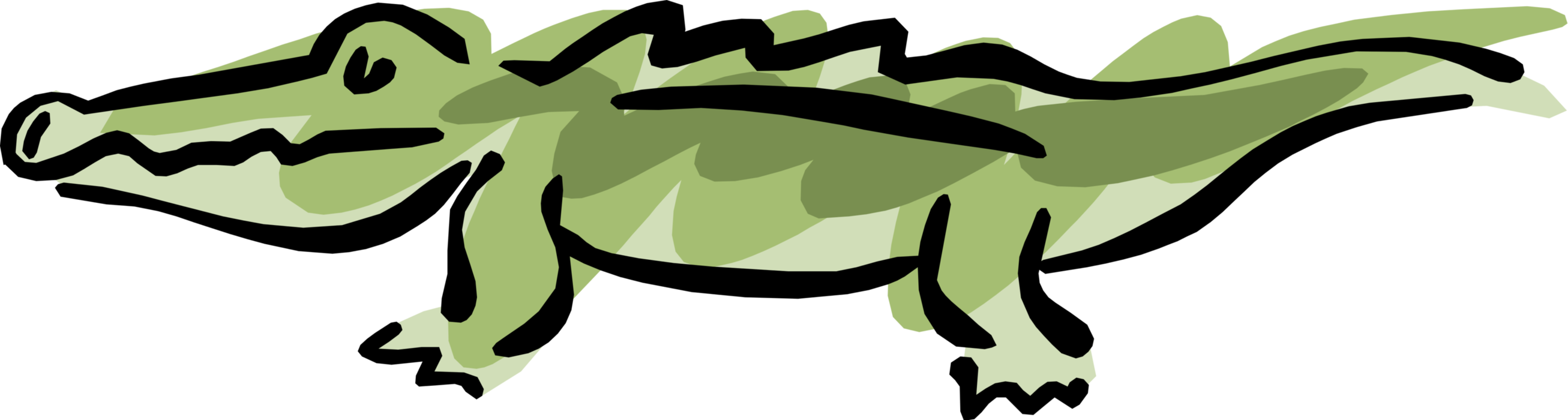 Vector Illustration of Alligator or Crocodile Walking