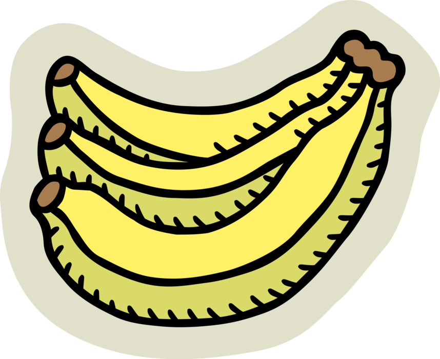 Vector Illustration of Soft, Sweet, Dessert Banana Edible Fruit 