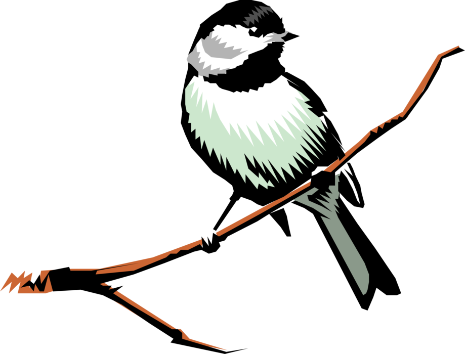 Vector Illustration of Chickadee Bird Sits on Tree Branch
