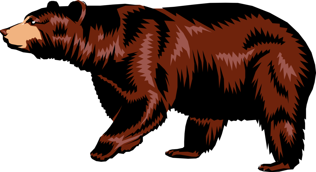 Vector Illustration of Large Brown Bear Walking