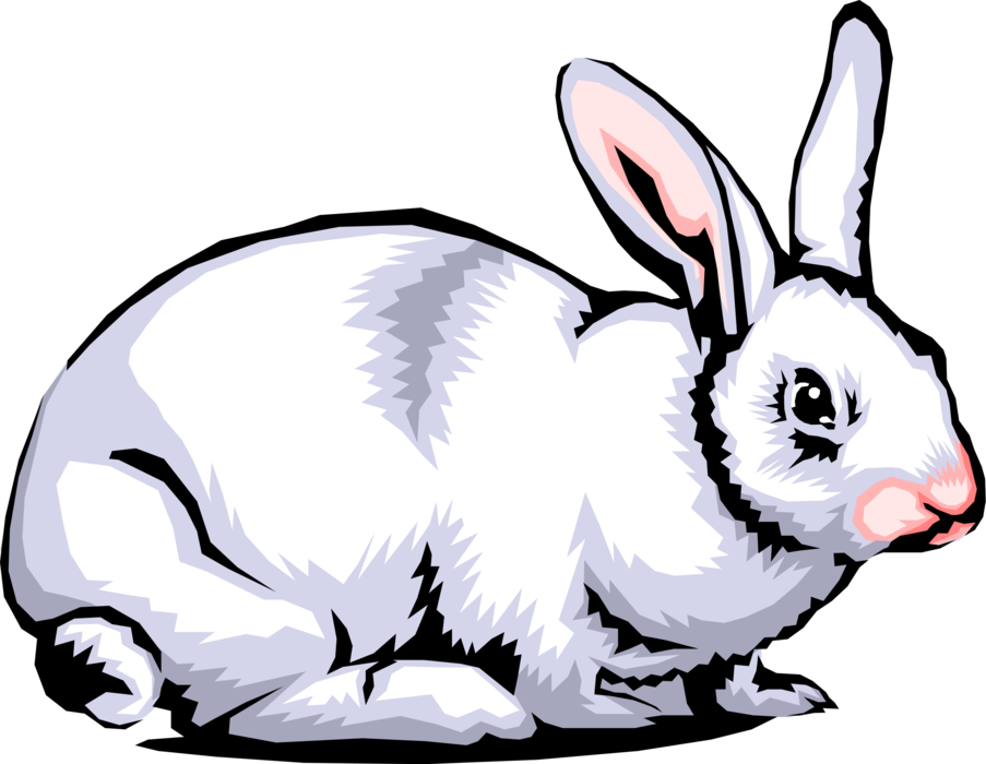 Vector Illustration of Small Mammal White Rabbit Bunny