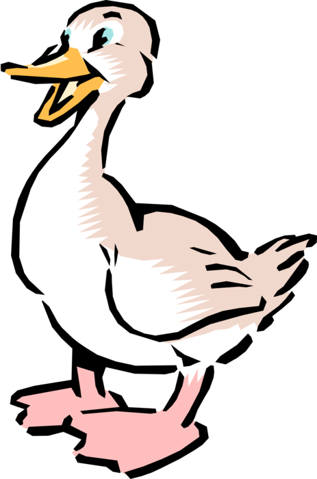 Vector Illustration of Cartoon White Duck Bird Waddles