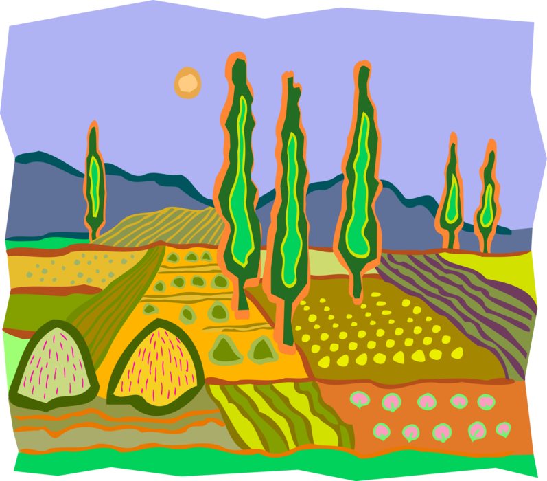 Vector Illustration of Landscape with Cedar Trees and Farm Fields