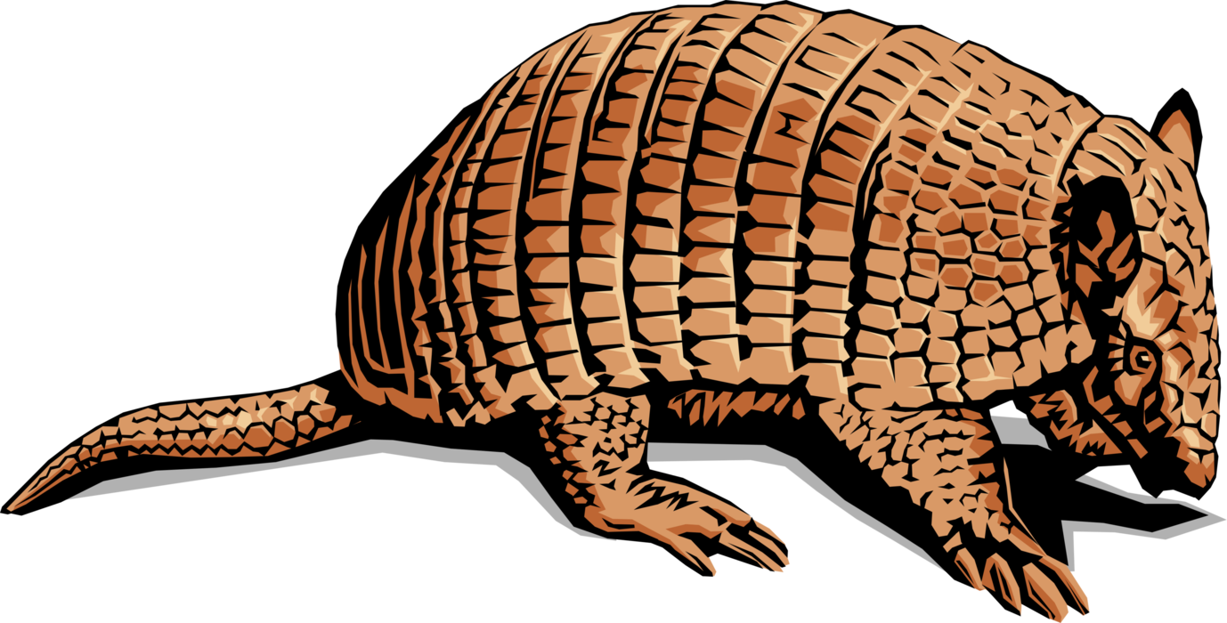 Vector Illustration of Armadillo "Little Armoured One" with Leathery Armour Shell Hunts for Food