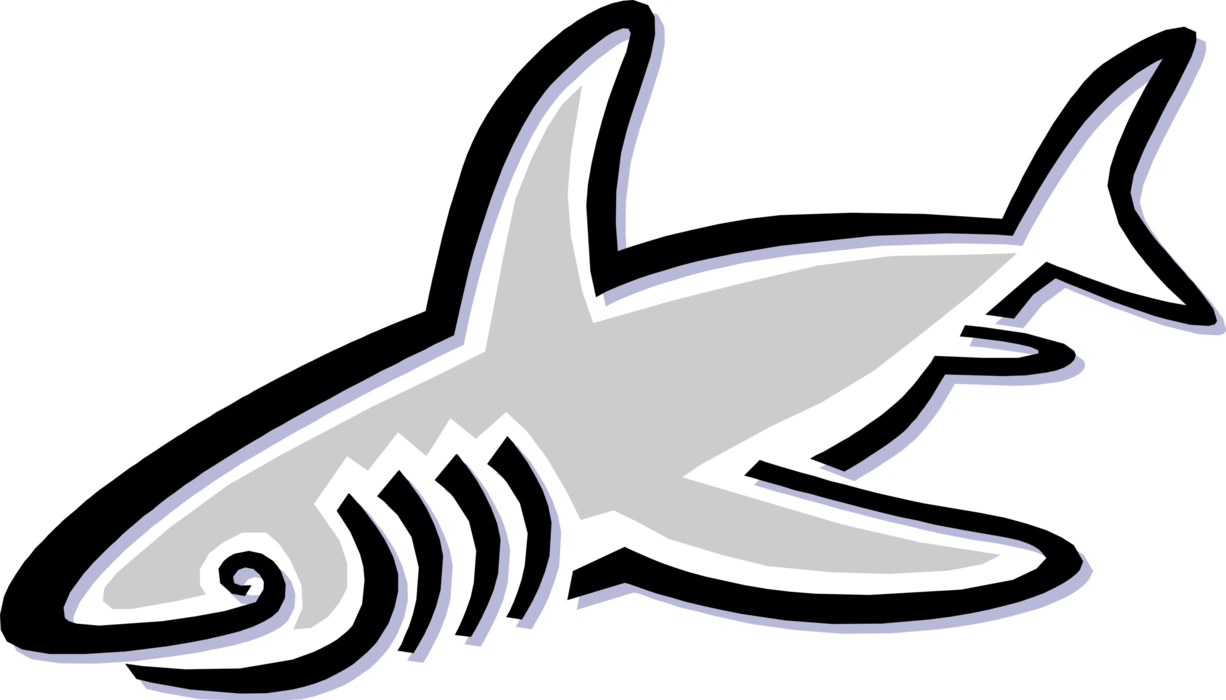 Vector Illustration of Marine Predator Shark