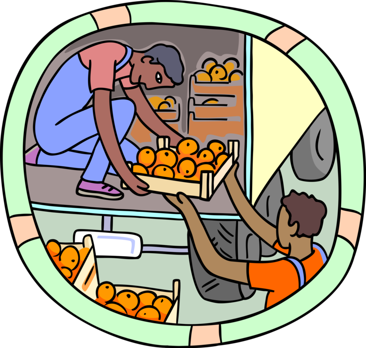 Vector Illustration of Fresh Fruit Oranges Shipping and Distribution from Transport Delivery Truck