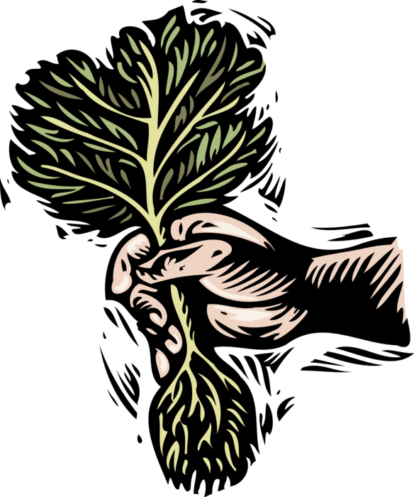 Vector Illustration of Hand Planting Small Tree with Roots