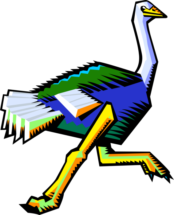 Vector Illustration of Flightless African Ostrich Running