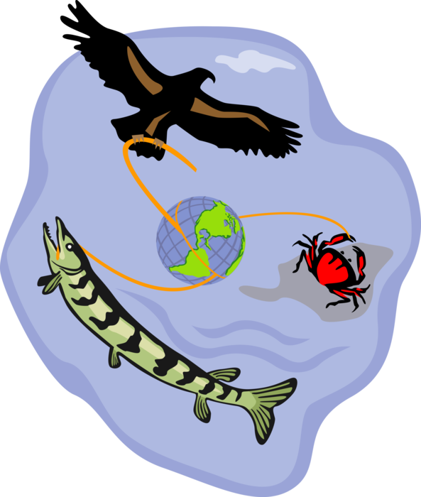 Vector Illustration of Fish, Eagle, and Decapod Crustacean Crab with Planet Earth