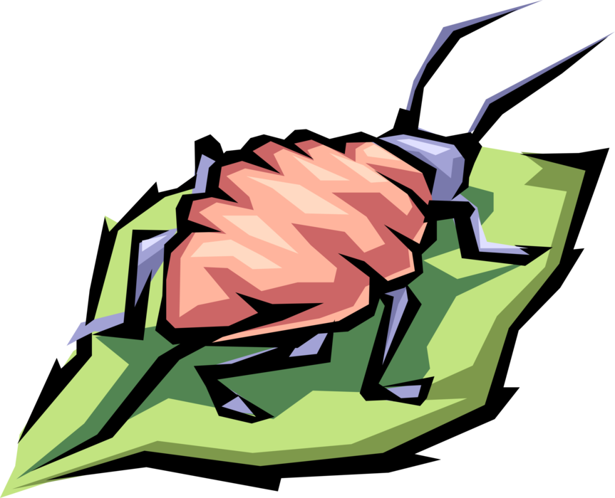 Vector Illustration of Insect Bug on Plant Leaf