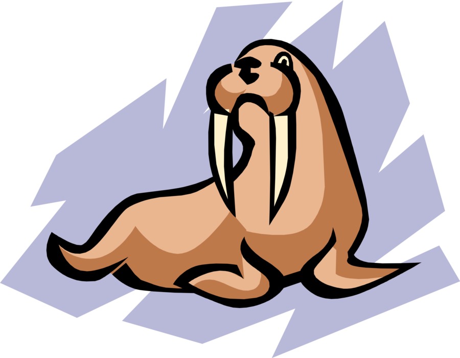 Vector Illustration of Flippered Marine Mammal Walrus