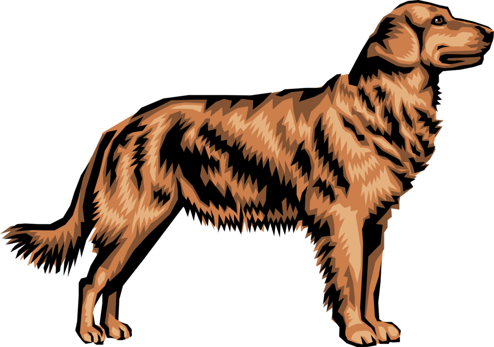 Vector Illustration of Family Pet Golden Retriever Dog