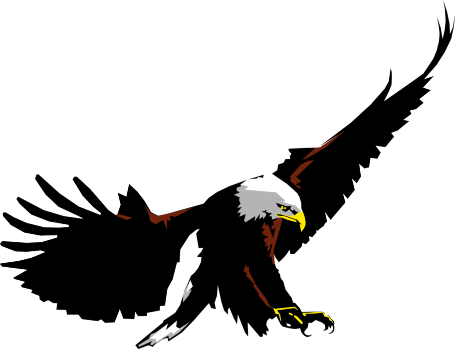 Vector Illustration of American Bald Eagle National Bird of United States of America with Claws Extended to Snatch Prey