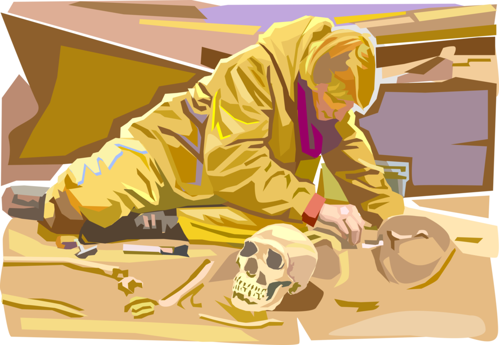 Vector Illustration of Archeologist Archaeologist Studies Human Prehistory and History