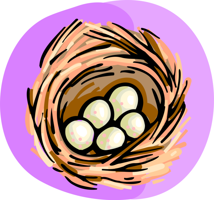Vector Illustration of Bird's Nest with Eggs