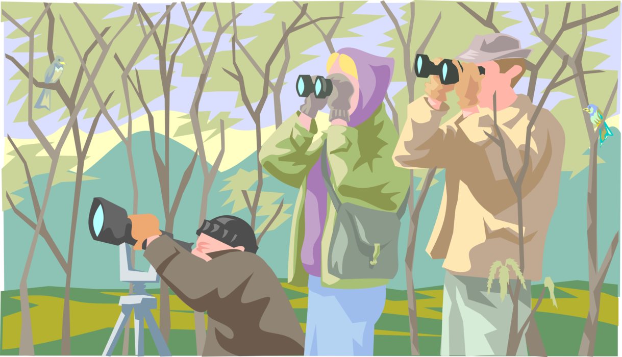 Vector Illustration of Birdwatchers Birding or Birdwatching with Binoculars