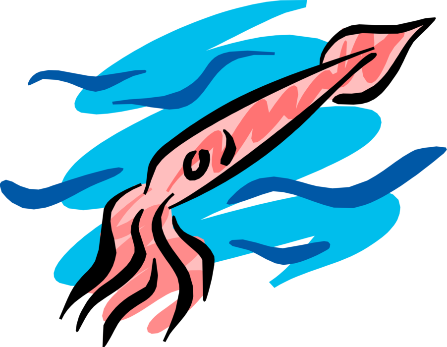 Vector Illustration of Cephalopod Squid have Eight Arms and Two Tentacles