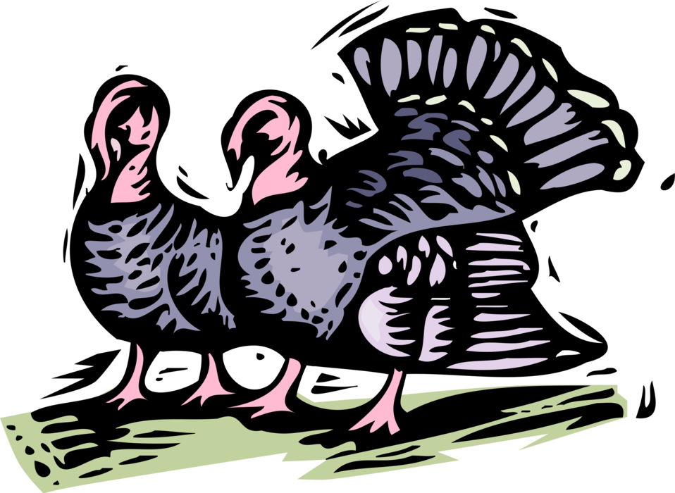 Vector Illustration of Wild Turkey Christmas or Thanksgiving Turkey Poultry Dinner in Field