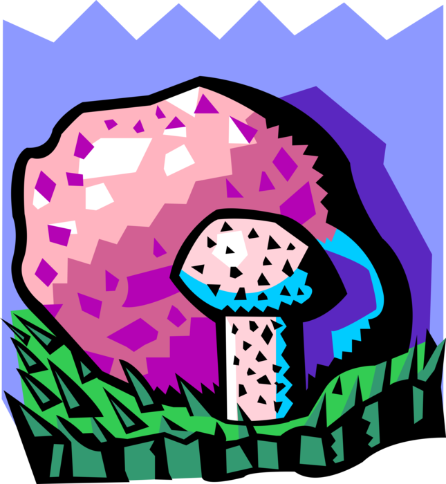 Vector Illustration of Edible Mushroom or Toadstool Fleshy Spore-Bearing Fungus Food Growing in Forest