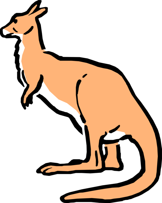 Vector Illustration of Cartoon Australian Marsupial Kangaroo