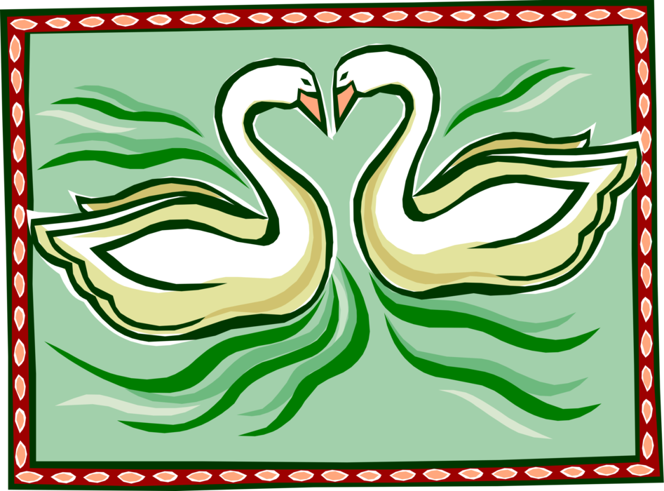 Vector Illustration of Pair of White Mute Swans in Love