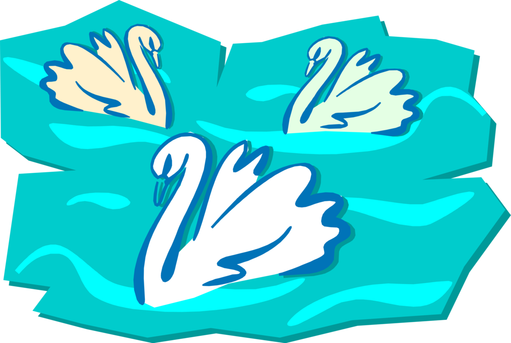 Vector Illustration of Three White Mute Swans Swimming