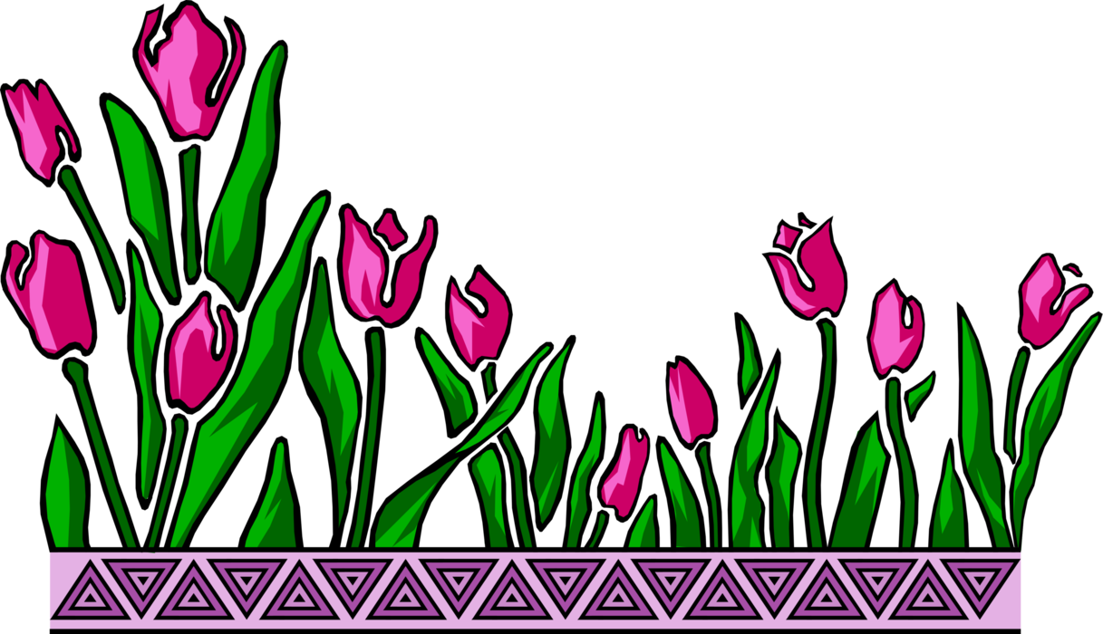 Vector Illustration of Bulbous Plant Spring Tulips Design