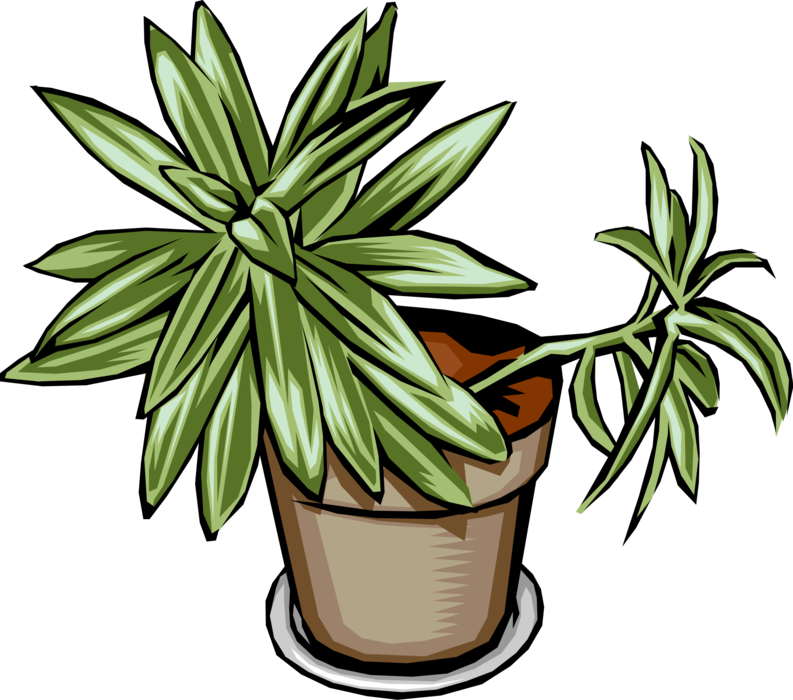 Vector Illustration of Potted Plant