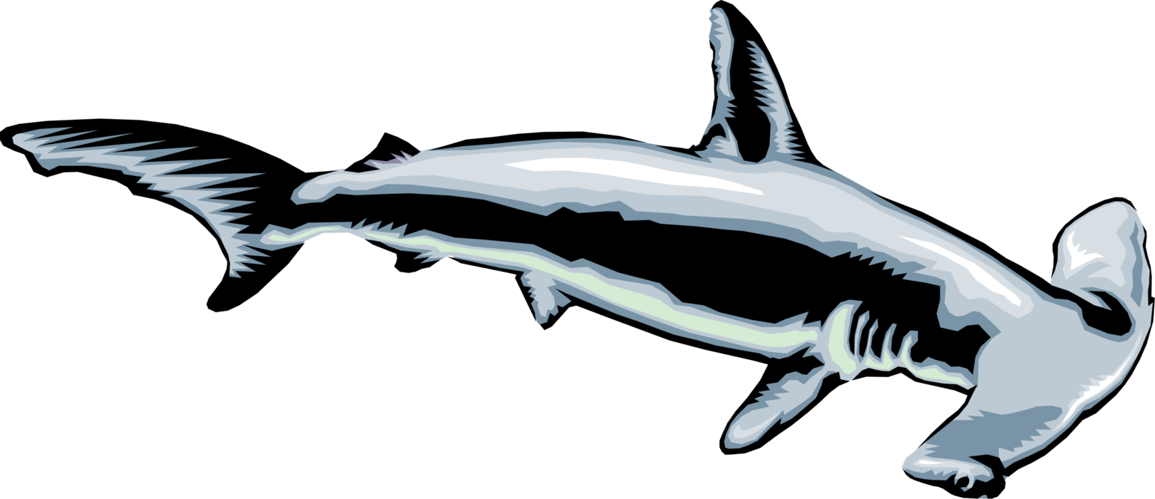 Vector Illustration of Marine Predator Hammerhead Shark