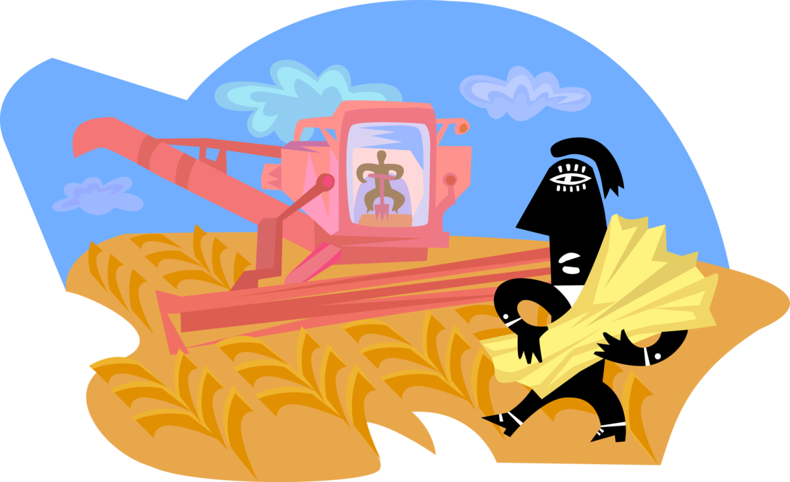 Vector Illustration of Farmer with Combine Tractor Harvesting Wheat Grain from Field