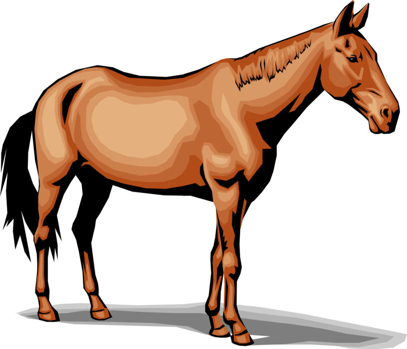 Vector Illustration of Equine Equestrian Quadruped Horse Standing