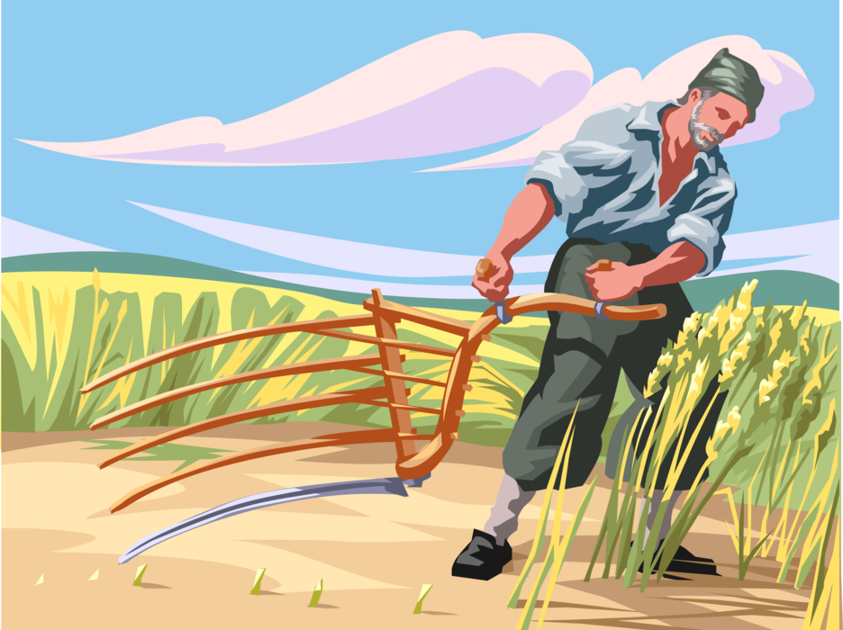 Vector Illustration of Farmer with Scythe Harvests Wheat Grain Crop
