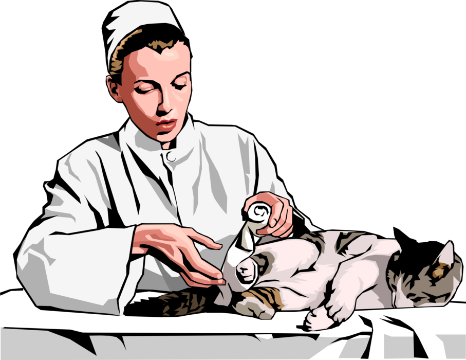 Vector Illustration of Veterinary Physician Bandaging Injured Leg on Small Cat