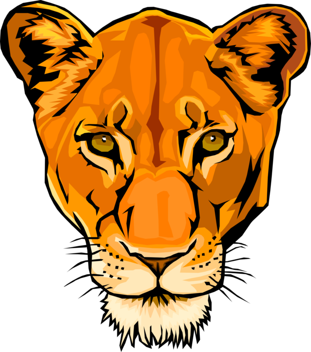 Vector Illustration of African Female Big Cat Lion Head