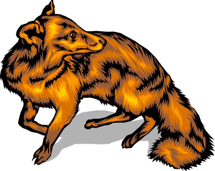 Vector Illustration of Omnivorous Mammal Red Fox