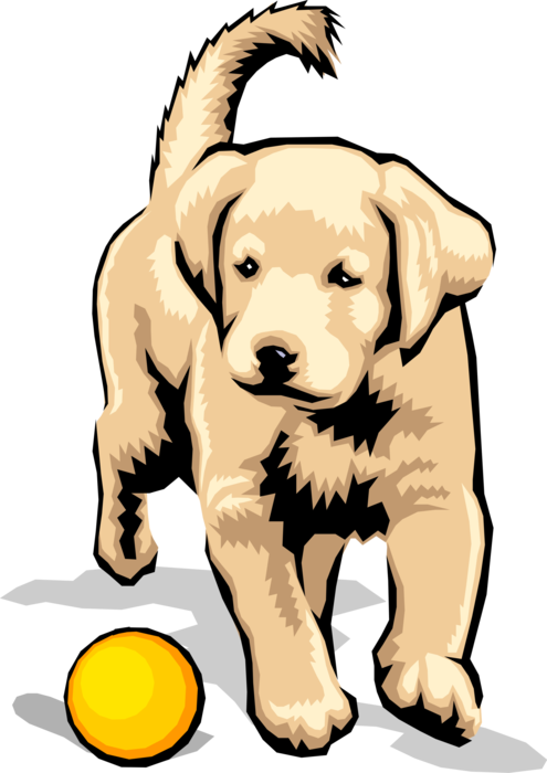 Vector Illustration of Golden Lab Puppy Dog Chases Ball
