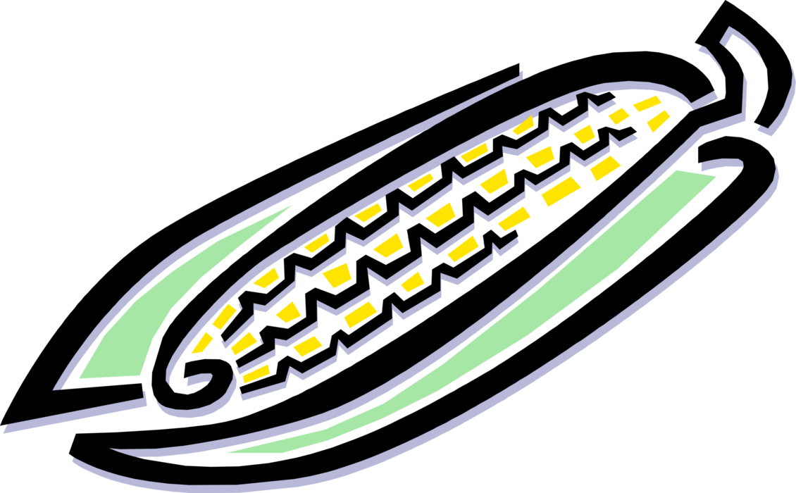 Vector Illustration of Corn on the Cob Grain Plant Maize Husk