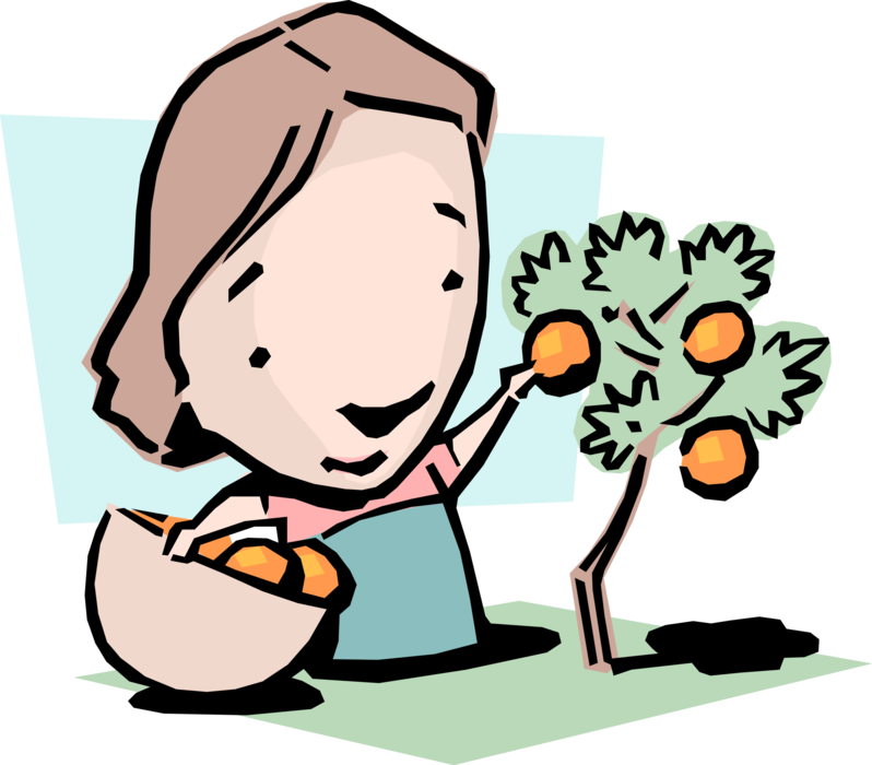 Vector Illustration of Easy-Pickings Idiom Businesswoman Picks Citrus Fruit Oranges from Tree