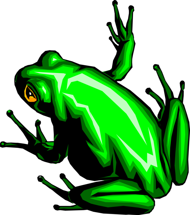 Vector Illustration of Amphibian Green Frog Portrayed as Benign, Ugly, and Clumsy