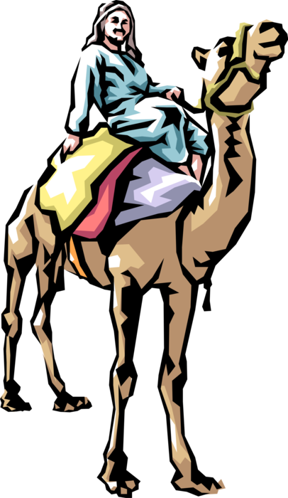 Vector Illustration of Middle Eastern Beast of Burden Camel Caravan Rider