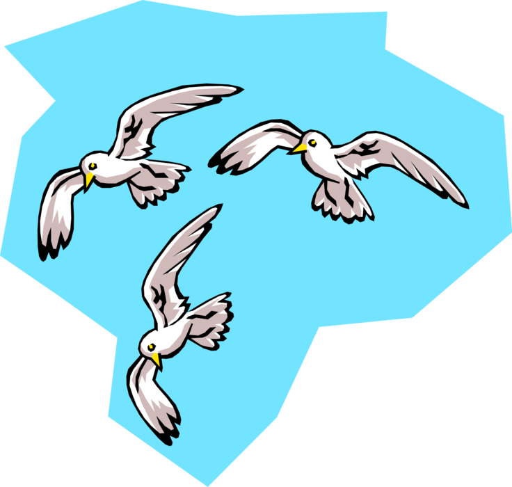 Vector Illustration of Feathered Vertebrate Gulls or Seagull Birds in Flight