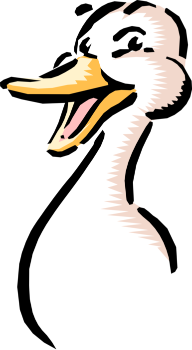 Vector Illustration of Cartoon White Duck Bird Quacks